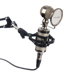 我想要買麥克風(fēng)自己在家錄制歌曲,可我實在不懂這些,麥克風(fēng)是不是價錢越高質(zhì)量越好呢 是不是也要買聲卡