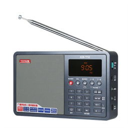 德生ICR110 收音機 音響 復讀機 錄音機 插卡 TF卡播放 MP3播放器 廣播 灰色 收錄 音機產(chǎn)品圖片3